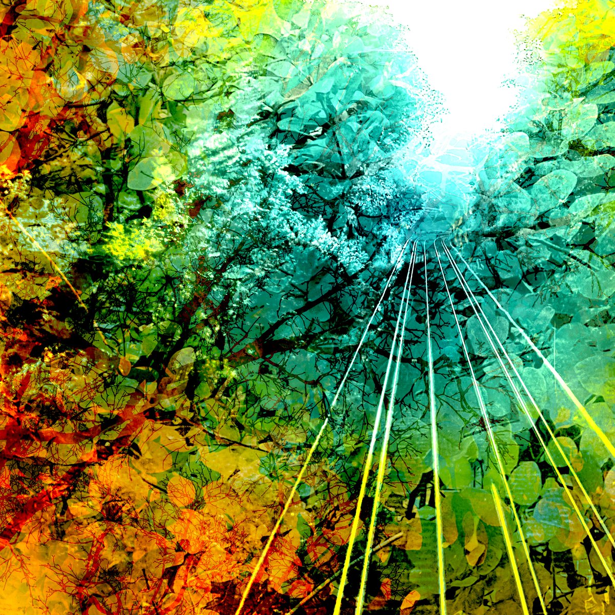 bright_lightart's tweet photo. "To London" - 250 $USDC on @VoiceHQ 

https://t.co/I2k7kwkz82 https://t.co/HsCAnq0pq1