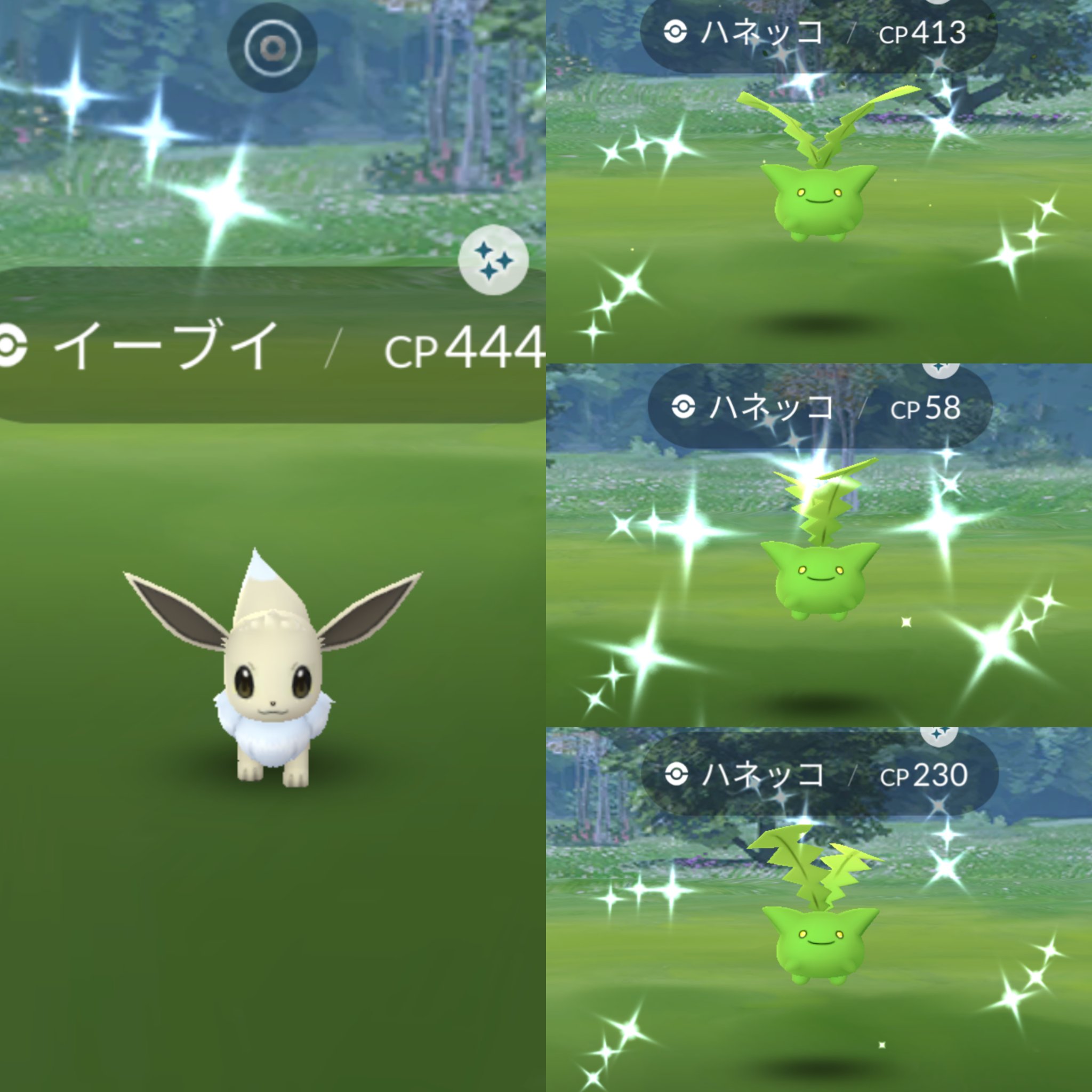 Momomomomomomo ハネッコのコミュニティデイでした 可愛いハネッコが取り上げられてとても嬉しかったです 今日の色違い1体目はまさかのイーブイ ハネッコは22体でした グリーンハネッコはちょっとエイリアンぽい ポケモンgo ハネッコ コミュニティデイ