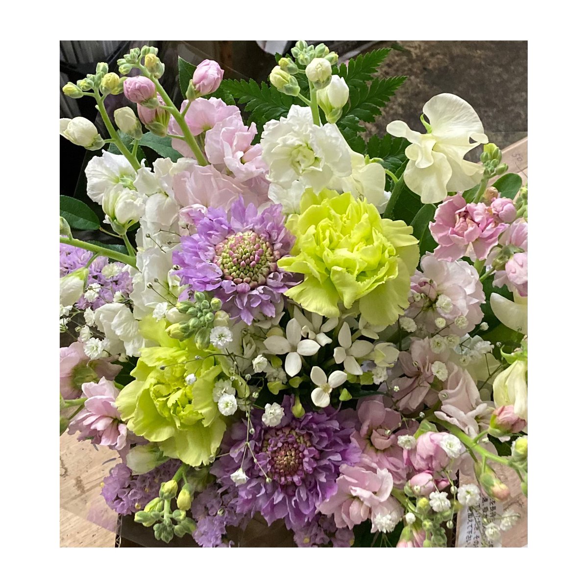 花屋 のtwitterリアルタイム検索結果 Meyou ミーユー 花屋 のtwitterリアルタイム検索結果 Meyou ミーユー