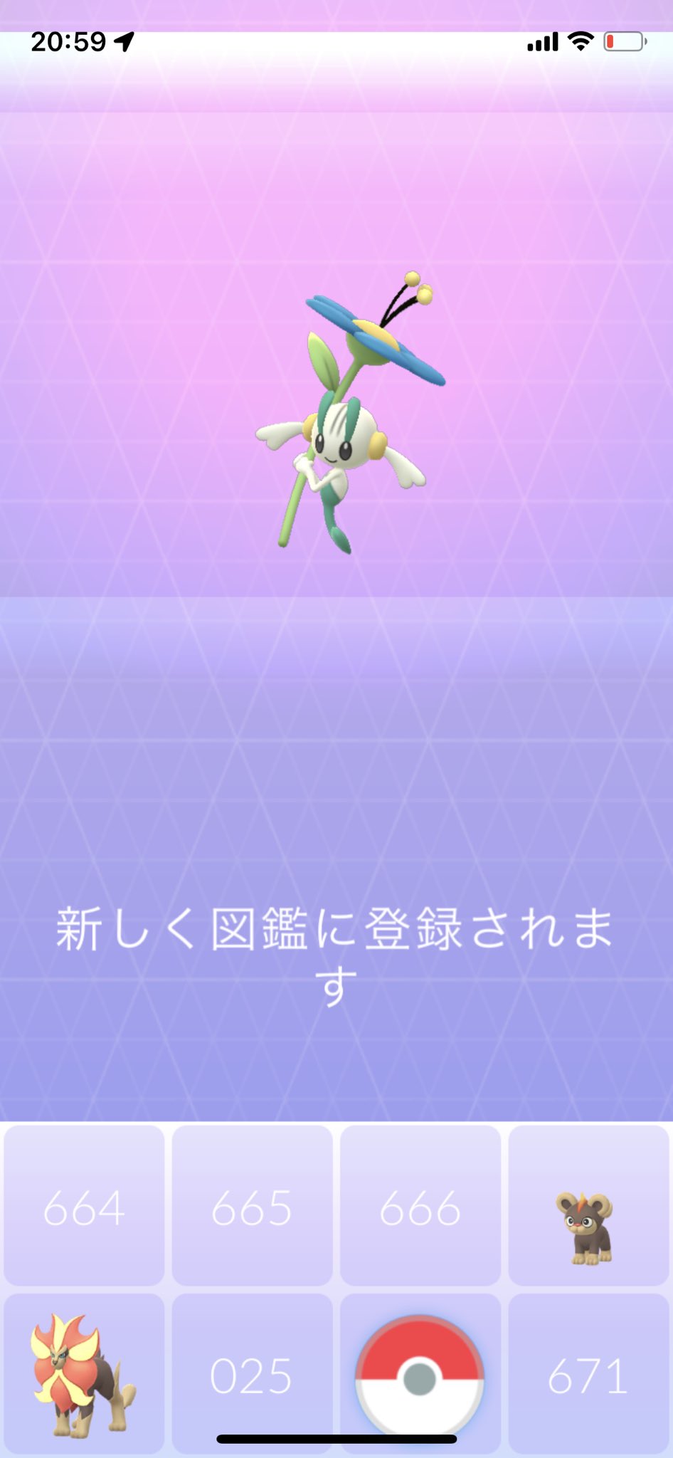 はやて フラベベのアメが２５個以上貯まったので フラベベをフラエッテに進化させれたよ 次はフラージェスに進化 させないとな 原作ではひかりのいしを使う進化方法なんだけど ポケモンgoでは アメを１００個以上集めて且つ相棒にしてハートを２０個獲得