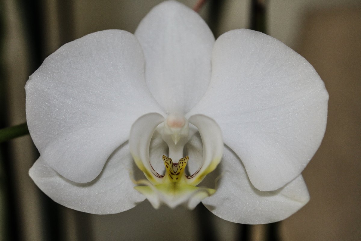 Elodie Montharoux tweet media