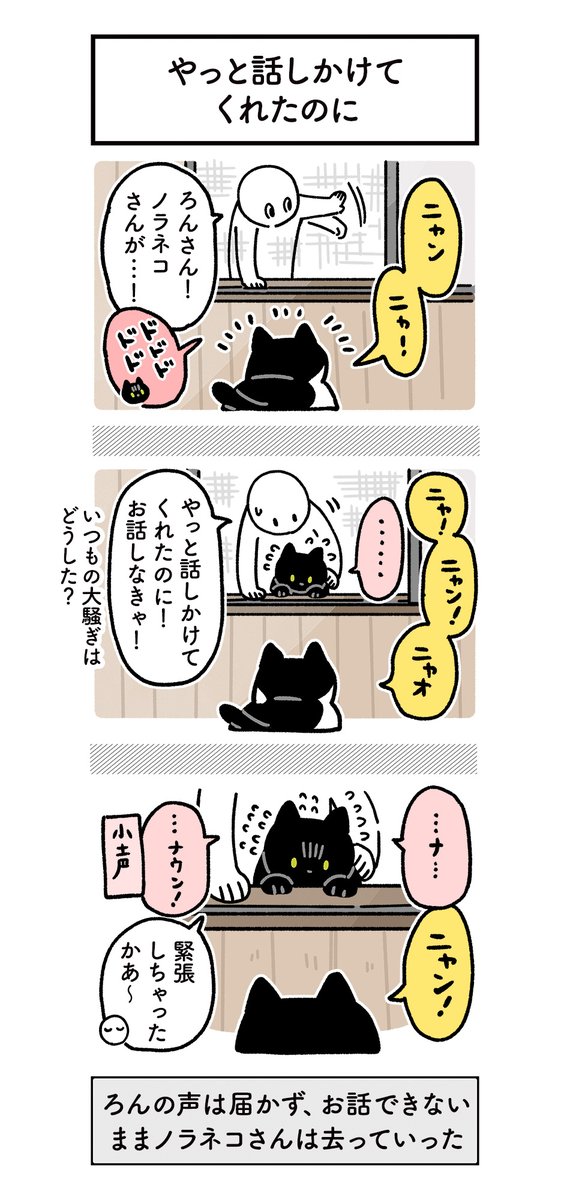 ノラネコさんと仲良くなりたくてけなげに奮闘している我が家のろんさんの絵日記 #ろんの絵日記 