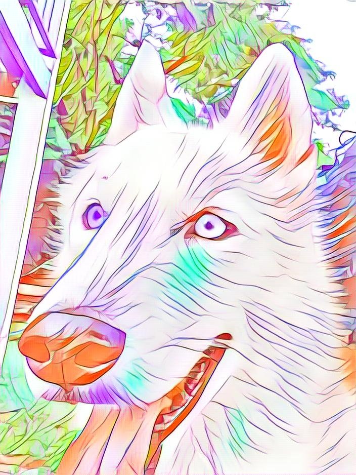 Dogcoletions's tweet photo. Hi #NFTCommunity !Help me sell my first #Nft on #opensea🙏🙏😅😅! Check out the complete collection. 👍👍

You will like it!😉😁

https://t.co/PMPyZV33zQ

  #nftart #NFTs #NFTCommmunity  #nftcollectors https://t.co/yy1ipvrb9r
