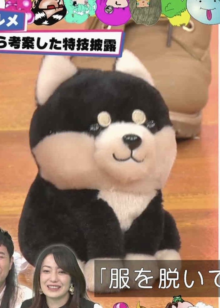 のこり湯 あらびき団 スルメさんの言うことを唯一理解していた犬 T Co Dh780s0yde Twitter