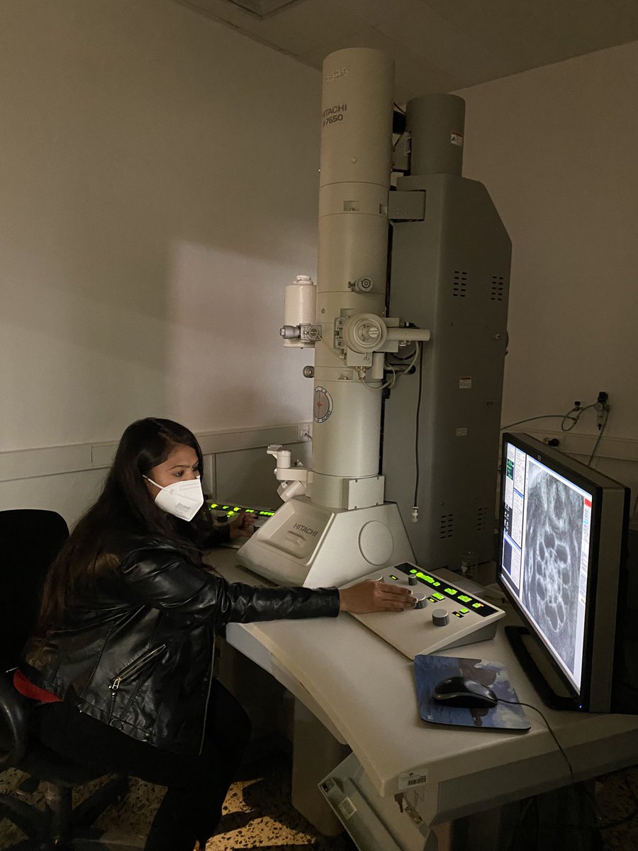 drtranfield's tweet photo. Yesterday was #WomeninScienceDay day & I was so focused on being a women in science I totally missed it. Sorry! But I am here & - even better - I am here with amazing other women (AKA superheros) in science @IGCiencia in the #igcemf & @IGCHistopath. For this I am very grateful! https://t.co/ctYT5IklPG