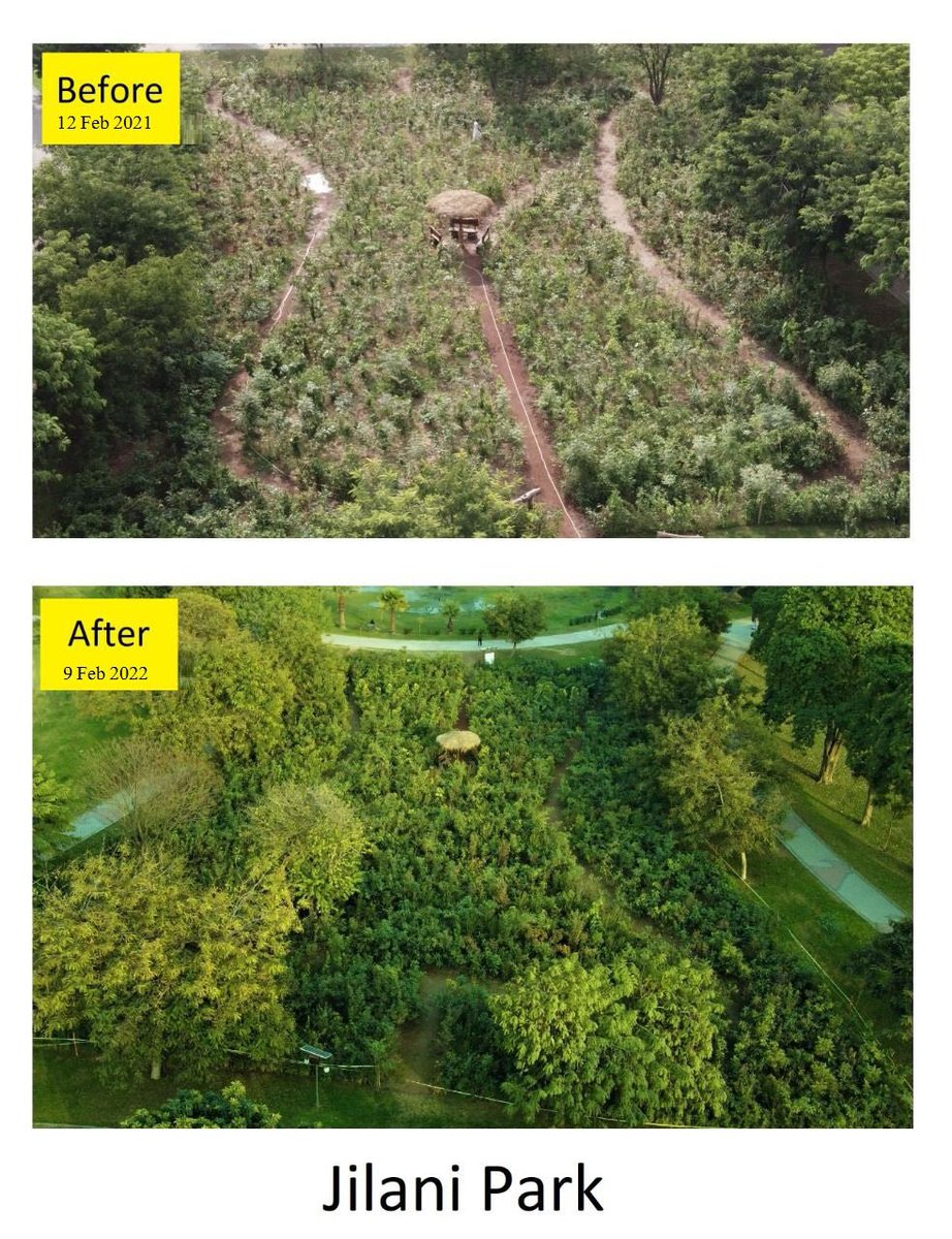 aminattock's tweet photo. Turning #Lahore back into the #CityOfGardens with 100+ #Myawaki #Forests - by @PHALHR under @ImranKhanPTI vision of #10billiontreetsunami https://t.co/C8r0KbLR4z