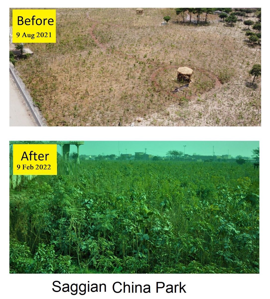 aminattock's tweet photo. Turning #Lahore back into the #CityOfGardens with 100+ #Myawaki #Forests - by @PHALHR under @ImranKhanPTI vision of #10billiontreetsunami https://t.co/C8r0KbLR4z