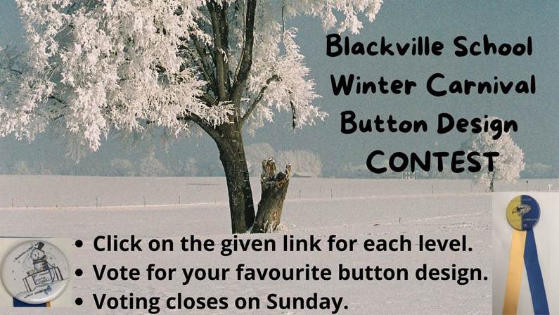 Voting is now open for picking Winter Carnival pins... be sure to check them out and vote for your favourite!  facebook.com/10005730703543…