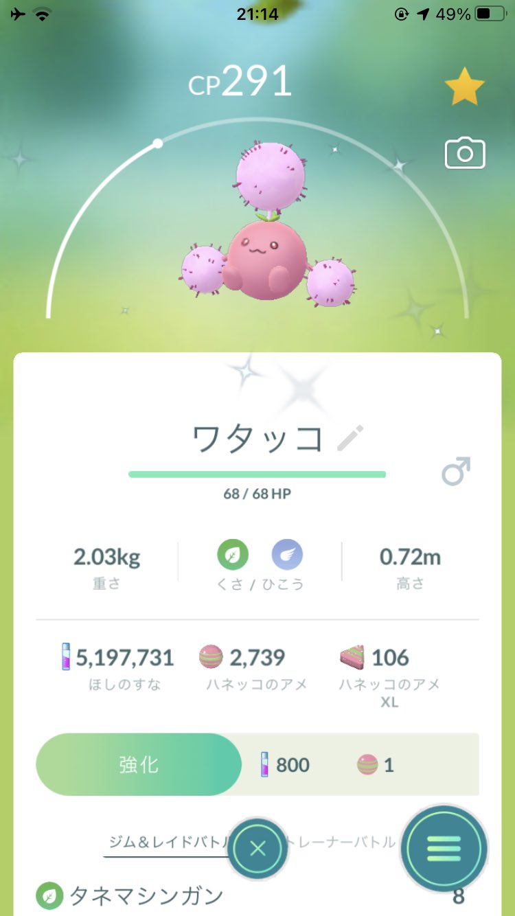 色違いワタッコ Twitter Search Twitter