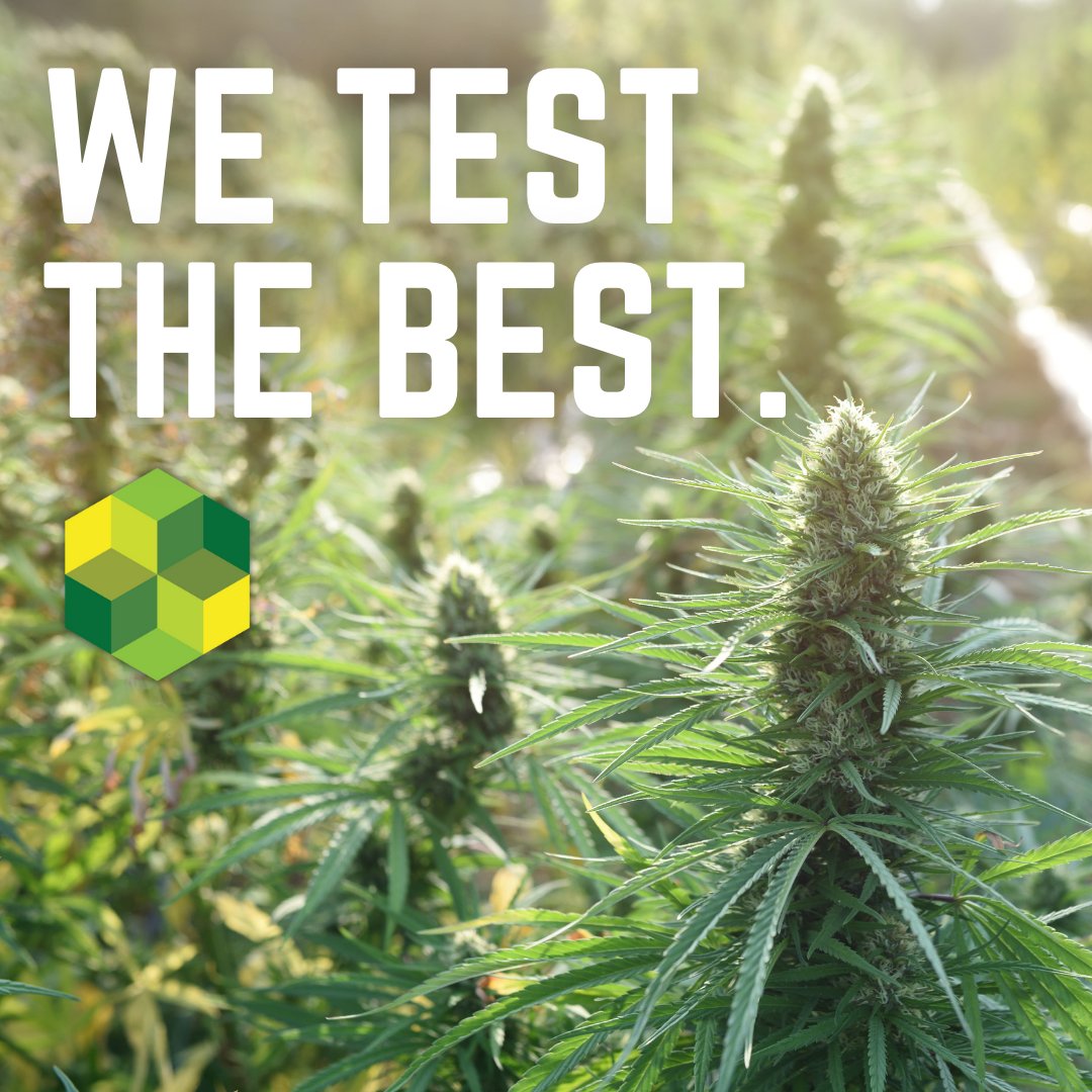 At Green Leaf Lab, we follow validated methodology and use high-quality reference standard materials that have known values, uncertainty measurements, and full certificate of analysis traceability.

#wetestthebest #cannascience #hemp #labtested