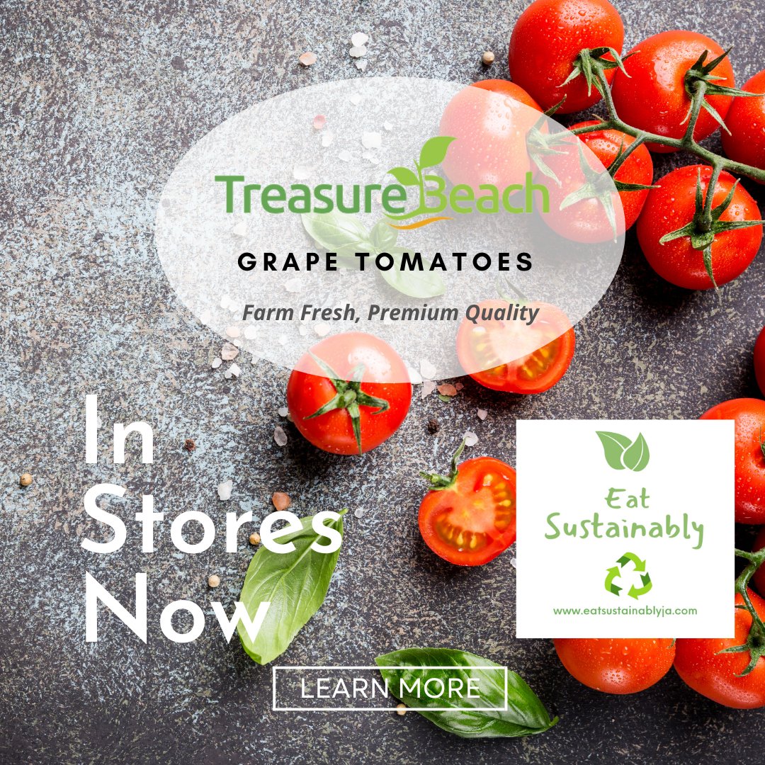tbhydroponics's tweet photo. Great news folks.  The crowd favorite is back!!!  Our grape tomatoes are in stores now.  Grab a pack.

Click the link in our bio to learn more.

#treasurebeach #grapetomatoes #eatsustainably #compostablepackaging #farmedsustainably https://t.co/UC7RJ8gCRC
