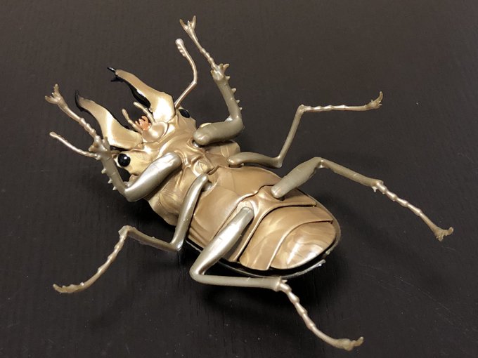 くわがた03のtwitterイラスト検索結果