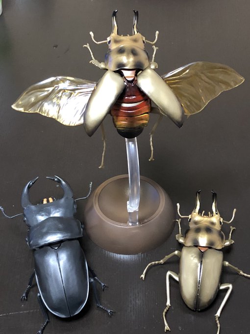 くわがた03のtwitterイラスト検索結果