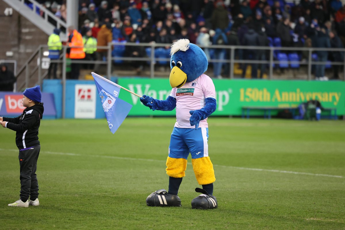 Bluey the Bluebird tweet media
