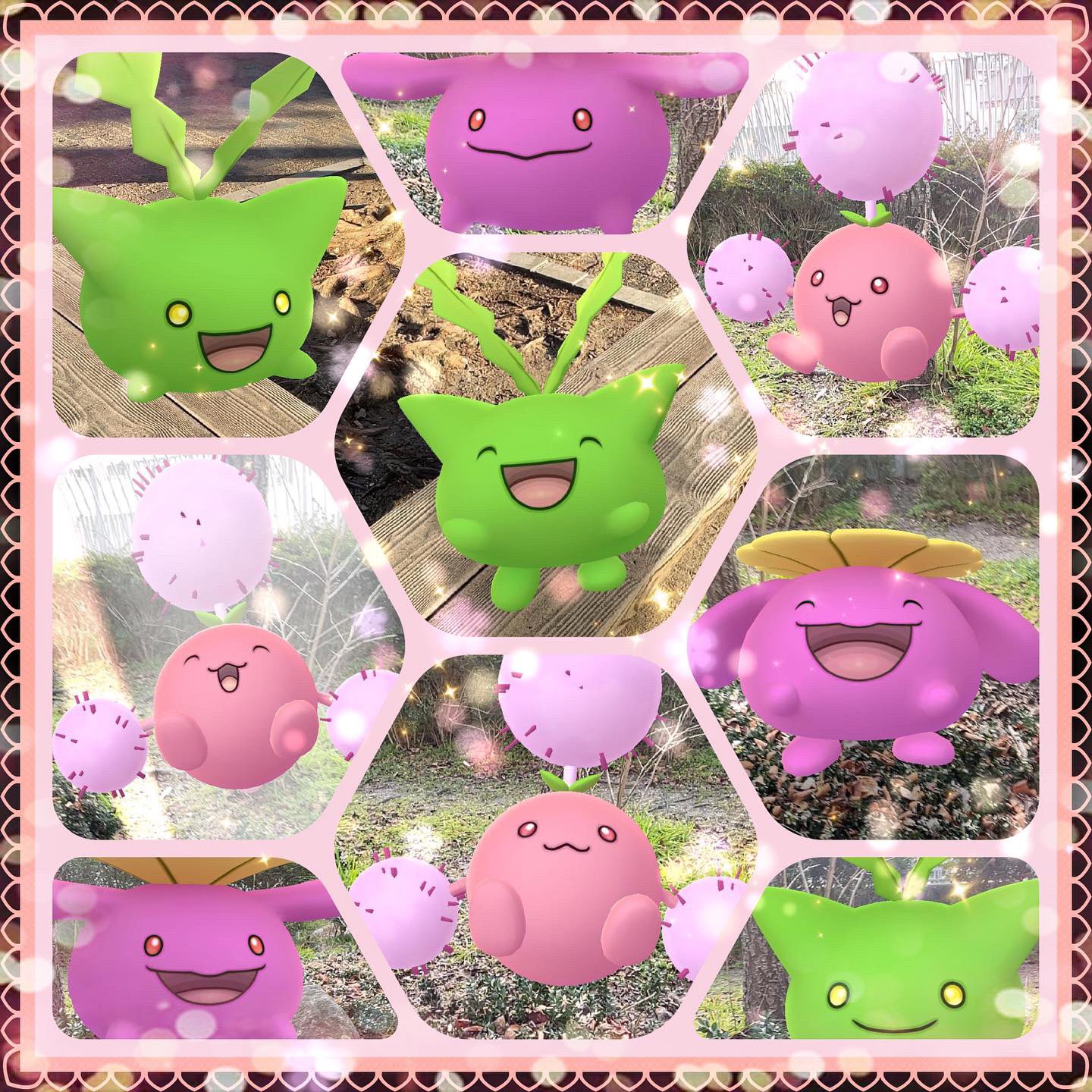 ユウ V Twitter お疲れ様です ポケモンｇoコミュニティディ ハネッコお疲れ様でした 今日の一枚 ハネッコ コミュニティディ T Co Wo3jxxzg9w Twitter