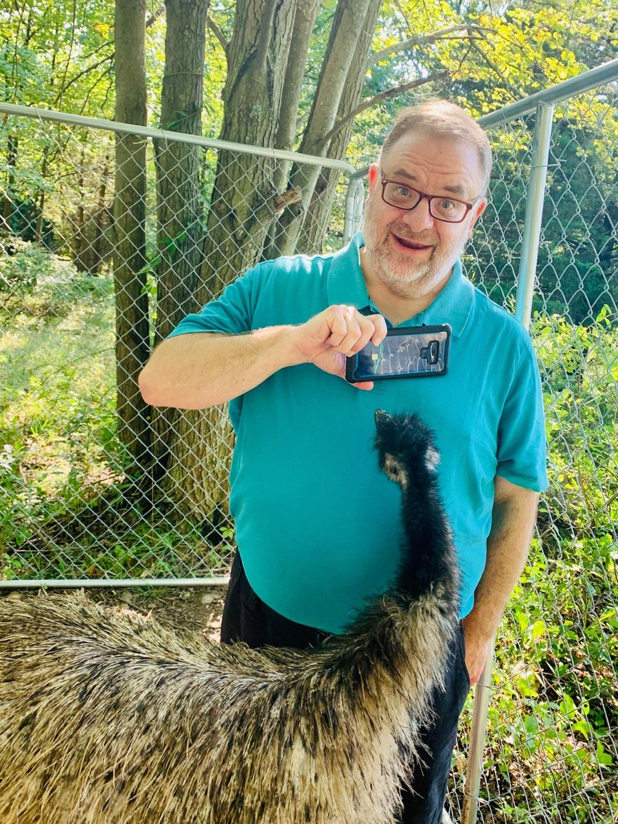 stu_rush's tweet photo. Sad news to share today... Winston, the emu who brought smiles and (feigned) international controversy to the world, has tragically died. Condolences to Cassandra Redding, who loved Winston dearly and provided a very good life. And thank you @WFeatherbill, for just being you. ❤ https://t.co/mHnkb7xnm3