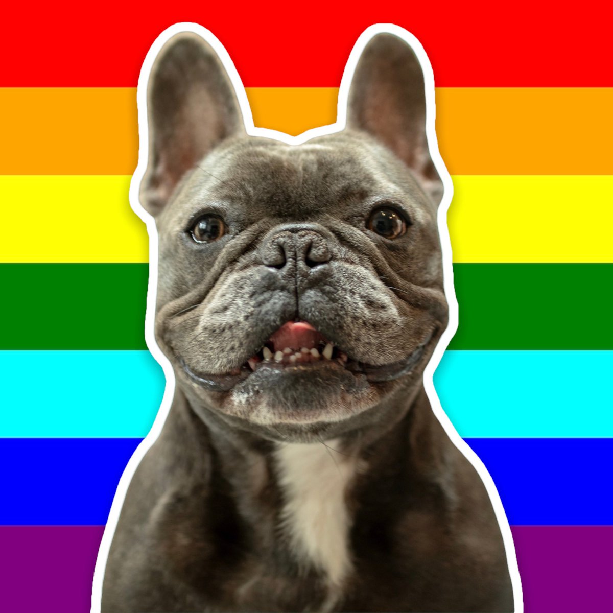 BrodyFrenchie's tweet photo. @KenjoriJr Please check out my collection. Thank you! 💙 https://t.co/5XkXuhDJfT https://t.co/TqBSzfbUP9