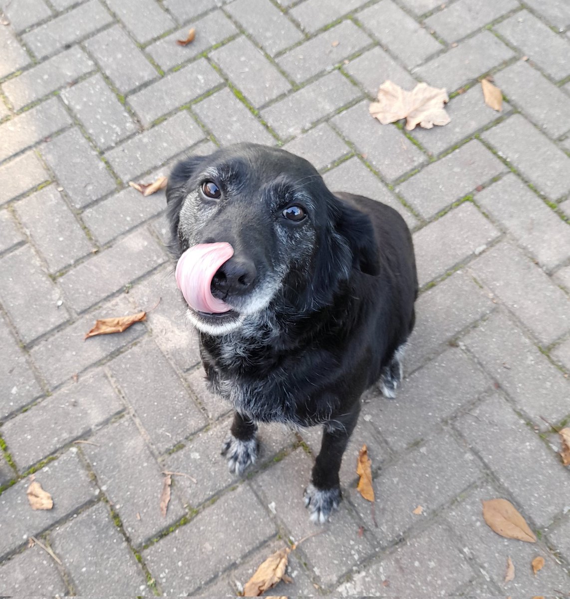 Visiting my parents - and Ronja 🐶- this weekend. 💙