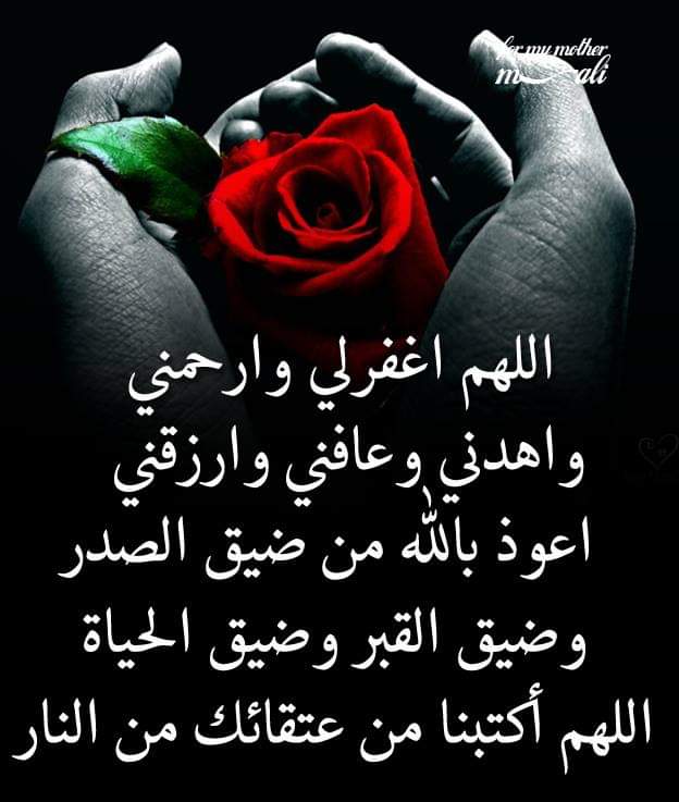 :
:
:
:
:
:
:
🌸
ياااارب منك العون الذي أحتمي به من فواجع الحياة، وسوء النوايا وخيبات الأمل، فكن لقلبي حاميًا وكافيًا وشافيًا يا الله ..