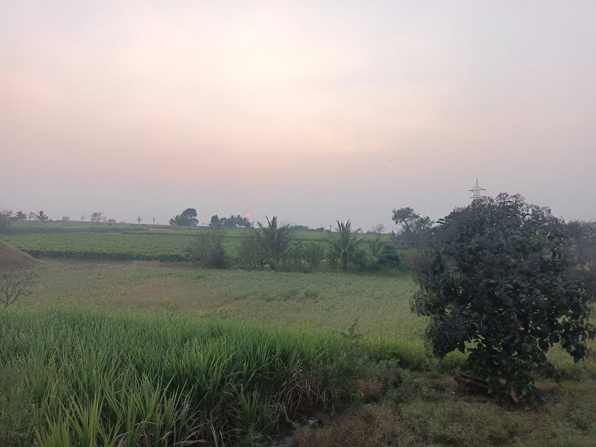 PRASHANTNYAMGO1's tweet photo. @isha_pant Sunset in tungal dist bagalkot https://t.co/b6kkTDh5HW