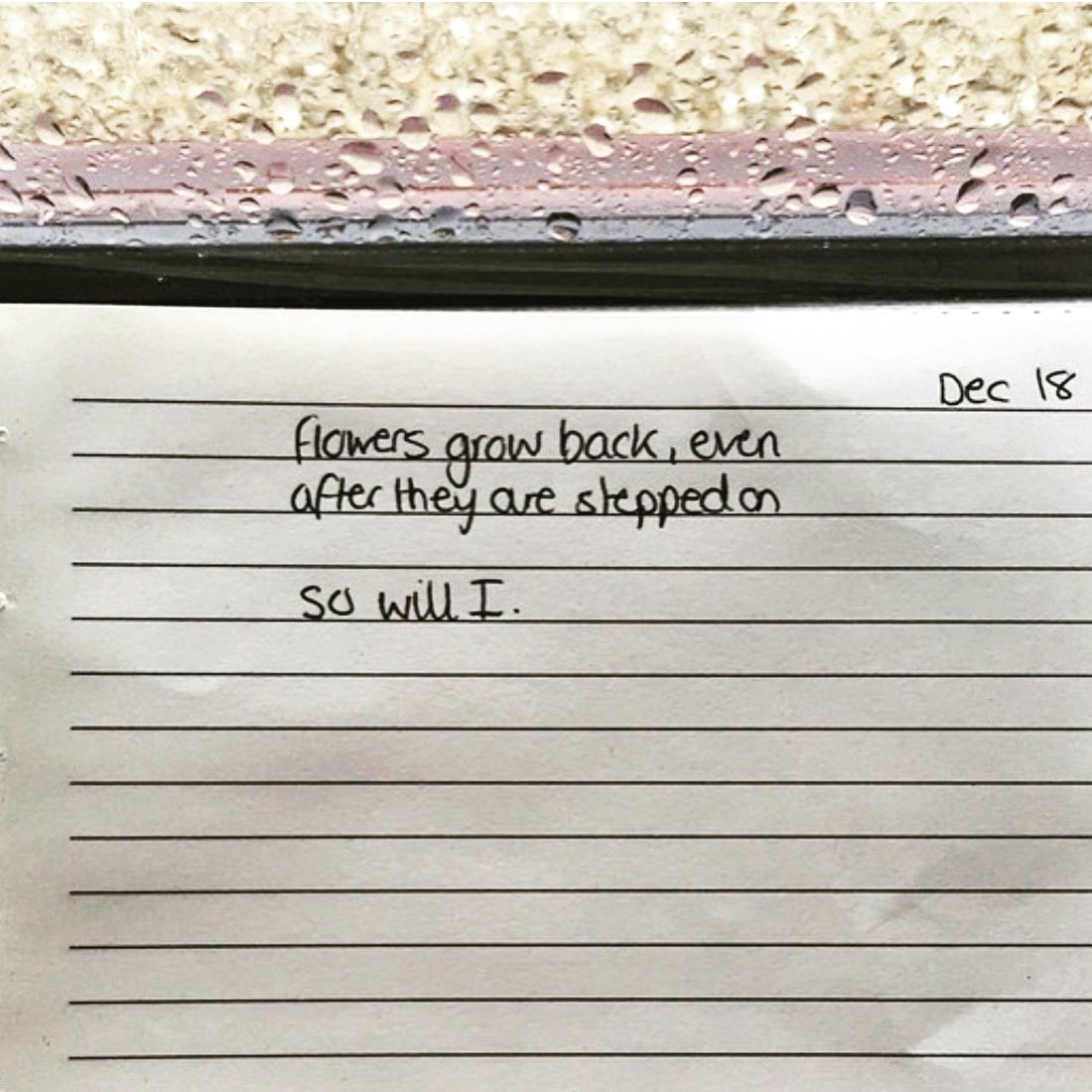 i’ll rise again too.