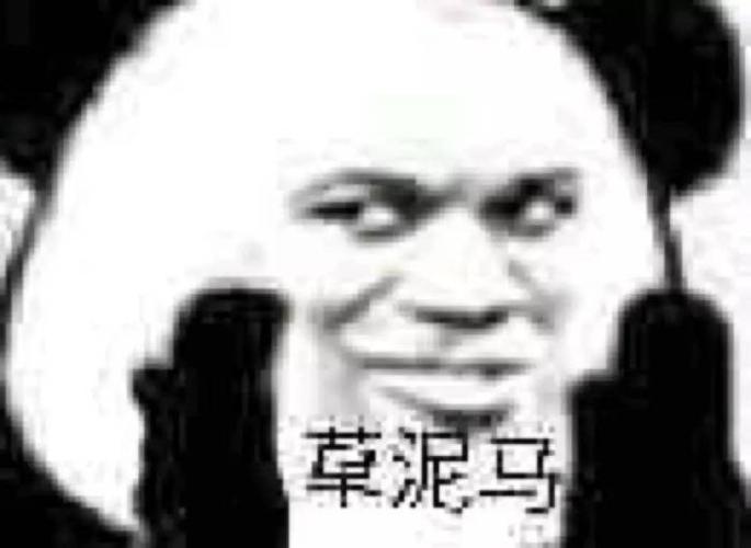 fish_luofei's tweet photo. @S21294298 @Mofei2762 @ae_ong_nya_ong @bbyeon1 你是美国伞兵大队队长？ https://t.co/rCtG1uoFBM
