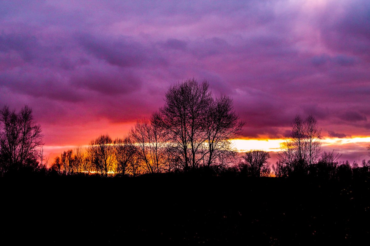 Elodie Montharoux tweet media