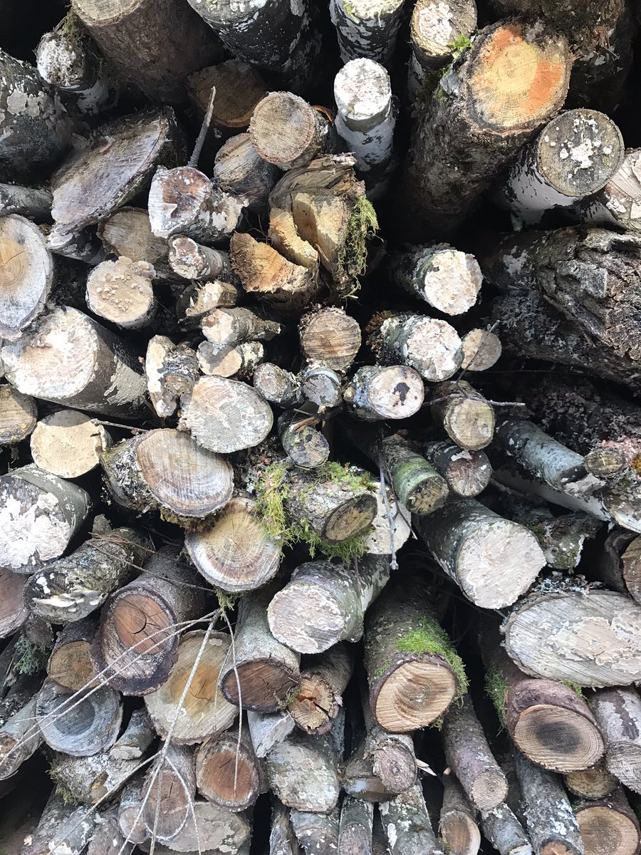 HelenKM22's tweet image. Finally, we made it to the Vosges for our rearranged Christmas trip. Fab walk in the sun with woodsmoke in the air, all the better for the wait!