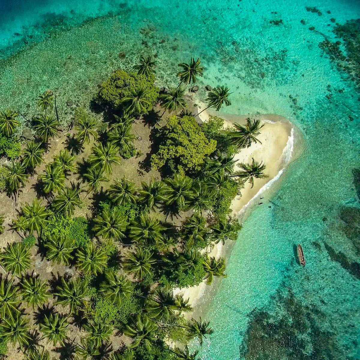 Swaying coconuts, white sandy beaches and crystal clear waters, what more would we ask for, isolated, and just unexplained beauty. Thank you to 📸@pngexperince for capturing this  shot of a  small islands outside📍Riwo, Madang, 🇵🇬
#visitpng #pngtourism #papuanewguinea