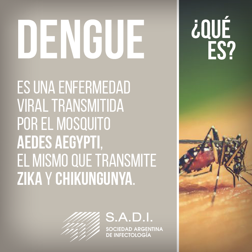 Sociedad Argentina Infectología tweet media