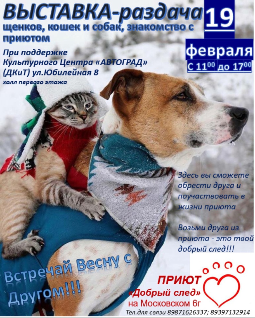 19 февраля в КЦ "АВТОГРАД" пройдет выставка-раздача щенков, кошек и собак самого большого приюта в городе - "Добрый след".

Забирая одно животное из приюта, вы спасаете сразу две души! Того кого берете, и того кто придёт на его место! Помогите пушистым сиротам уехать домой!