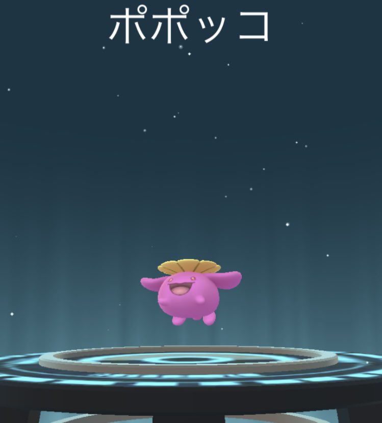 色違いポポッコ Twitter Search Twitter