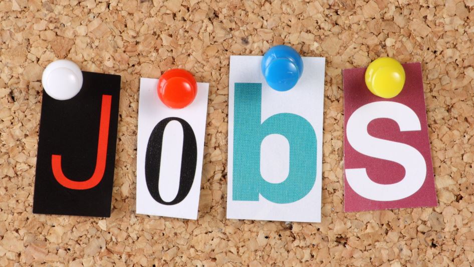 LucyWalkerRec's tweet photo. Check out our website for a multitude of jobs #leedsjobs #westyorkshirejobs

https://t.co/n0YdnQNdjl https://t.co/ObGSV6v1ow