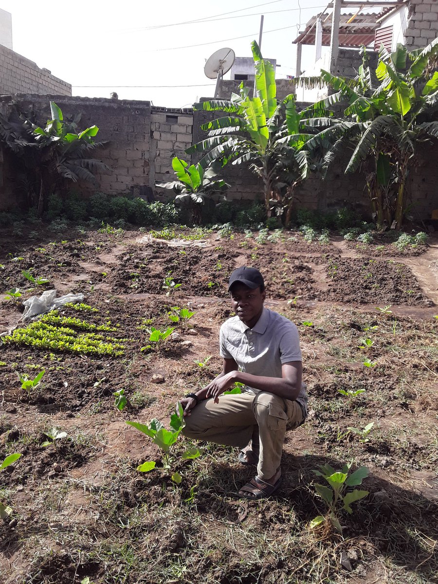 ABG_49's tweet photo. 📍Important Goal: To ensure the self-financing of our nursery with the income from the sale of our market gardening products. #kebetu @ibrahimthiaw @Jve_Senegal 🌱🤝🏾 @SenOxy9
@ABG_49 🌱 https://t.co/oSLPJPrTsB