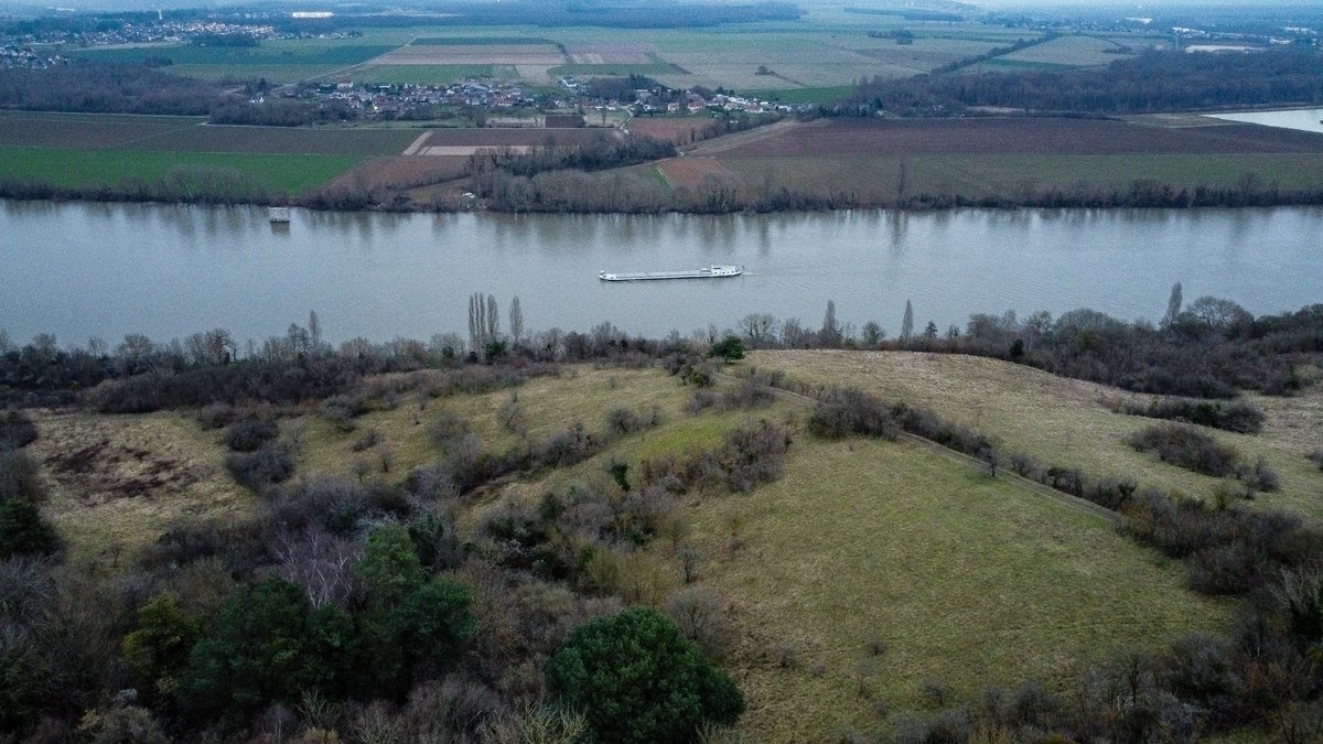 Elodie Montharoux tweet media