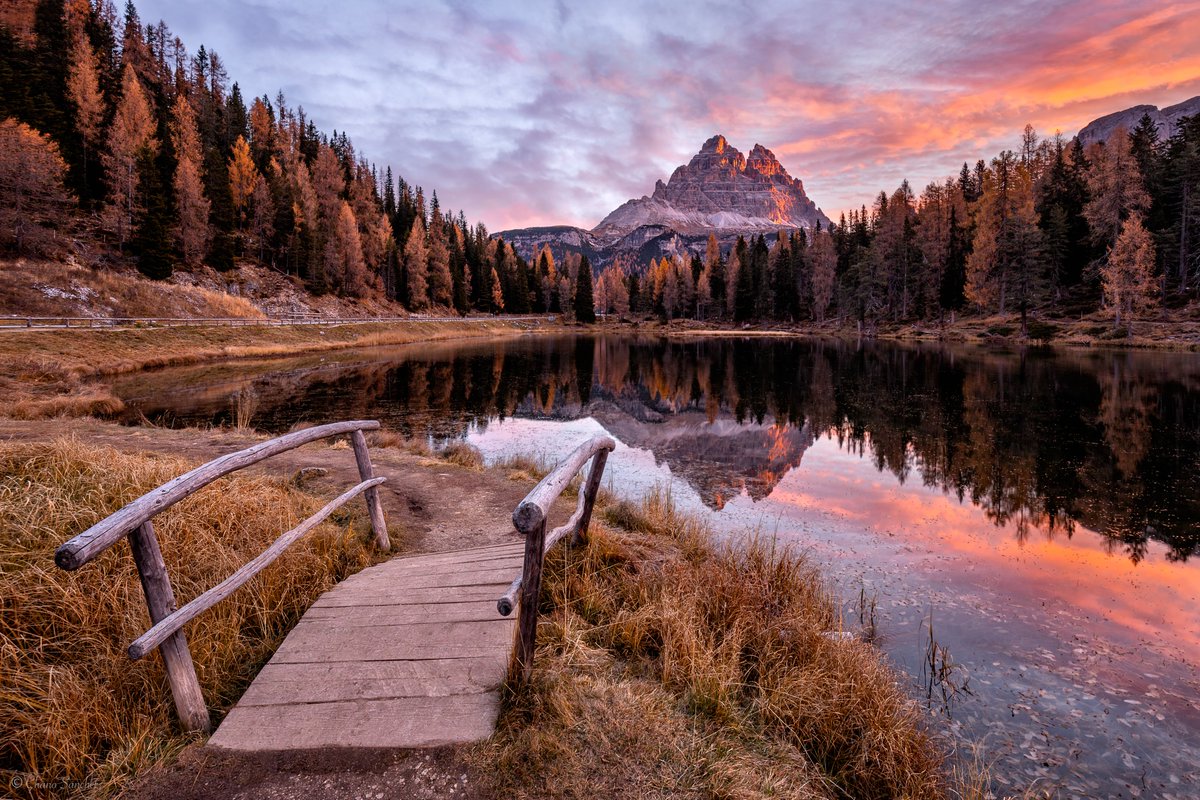 Chano Sanchez tweet media