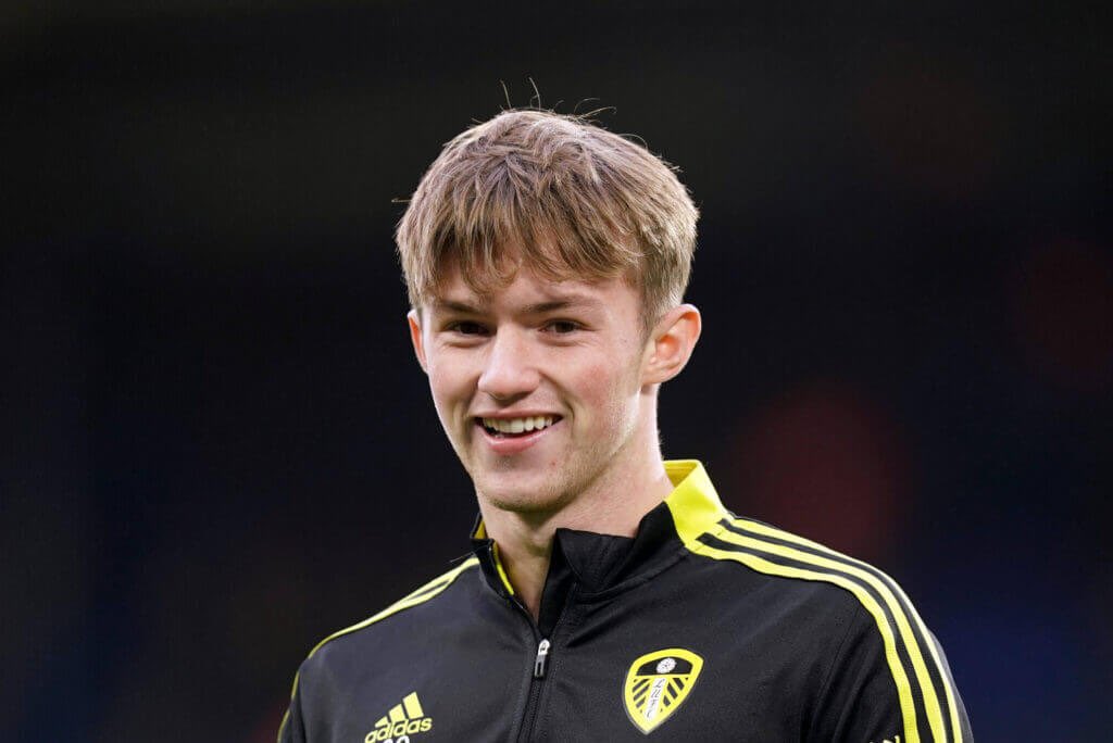 FPL DGW26 Free Hit Forwards to Target ~ Gelhardt