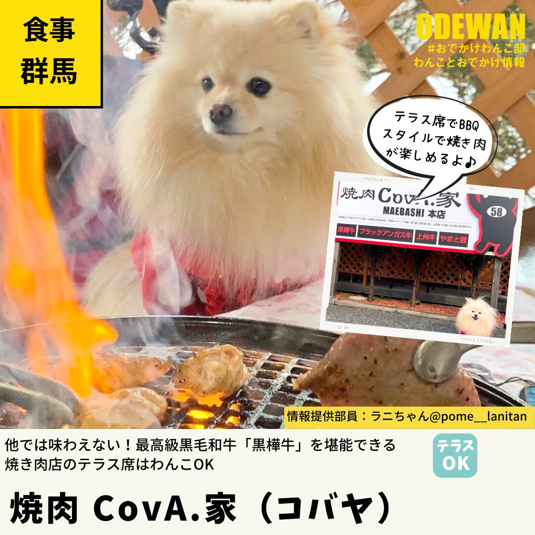 おでかけわんこ部 愛犬とのおでかけ情報 Odewanbu Twitter
