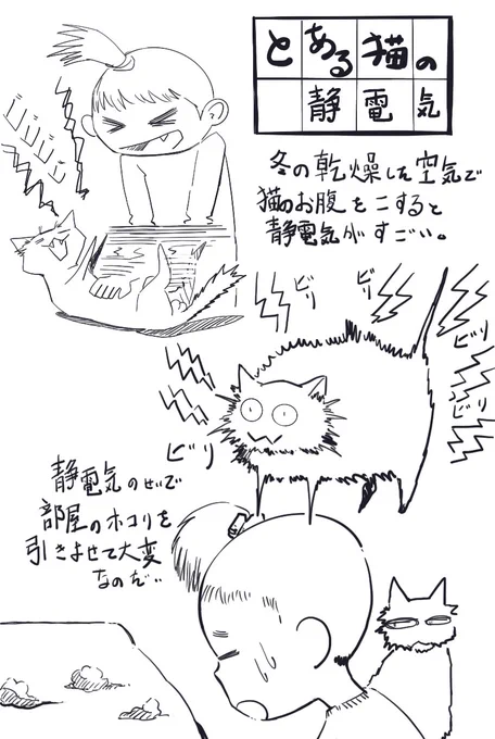恐怖の猫ビリビリ
乾燥には気を付けましょう。
#イラスト #イラスト好きさんと繋がりたい  #絵描きさんと繋がりたい  #illust #illustration #art #artwork #Artist  #mangaart 