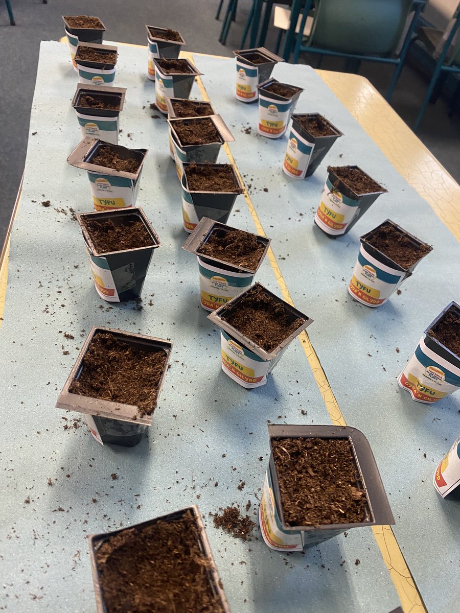 MissEllis tweet media