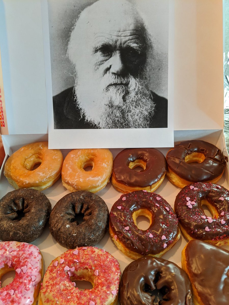 miniPCR bio tweet media