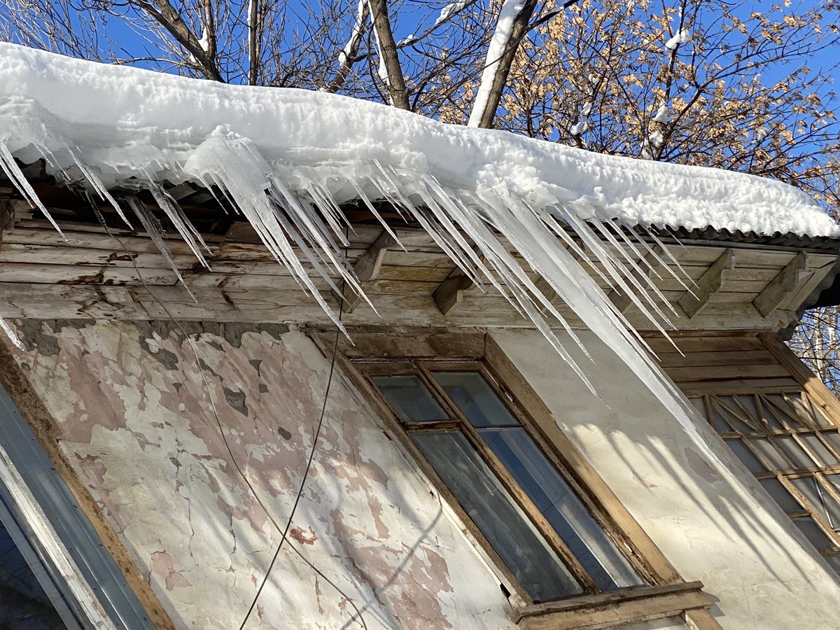 Марина Егорова tweet media