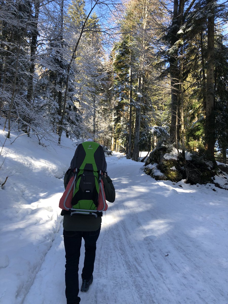 arachnia_queen's tweet photo. Enjoying a sunny day in the Bavarian Alps 💙🤍 #Brauneck #Alps #hiking https://t.co/yBb53bFzks