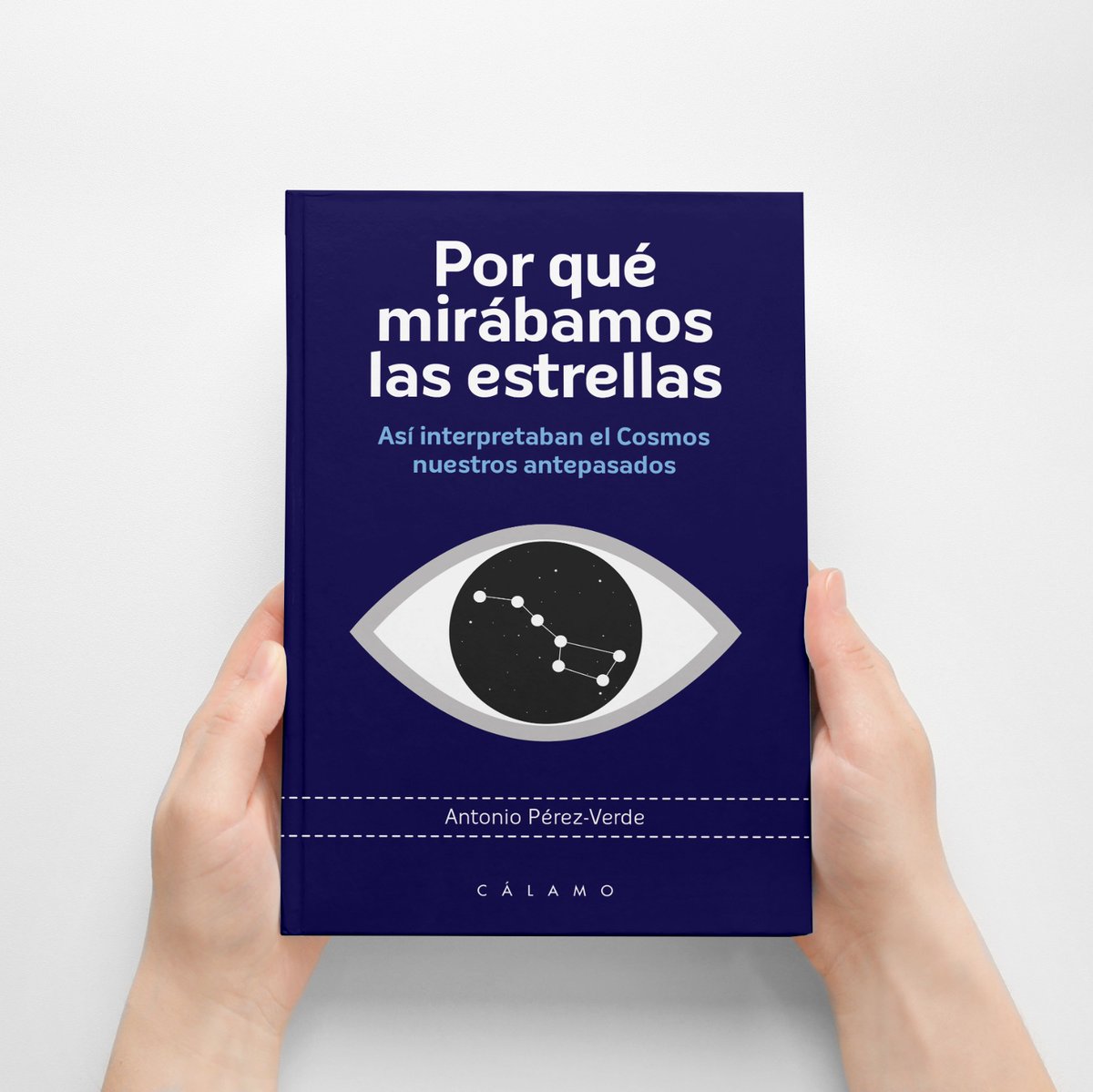 Antonio Pérez Verde tweet media