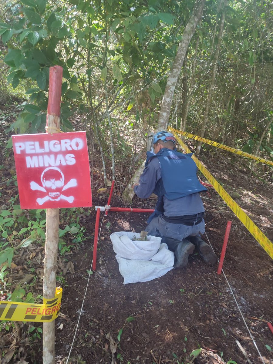 Ingenieros_EJC's tweet photo. ¡Le seguimos cumpliendo a Colombia! En Santander y Caldas, nuestros soldados del Batallón de Ingenieros de Desminado Humanitario Nº.3, han despejado 29.000 metros cuadrados en lo corrido del 2022.
#GarantesDelDesarrollo https://t.co/Em5jJ0qtoH