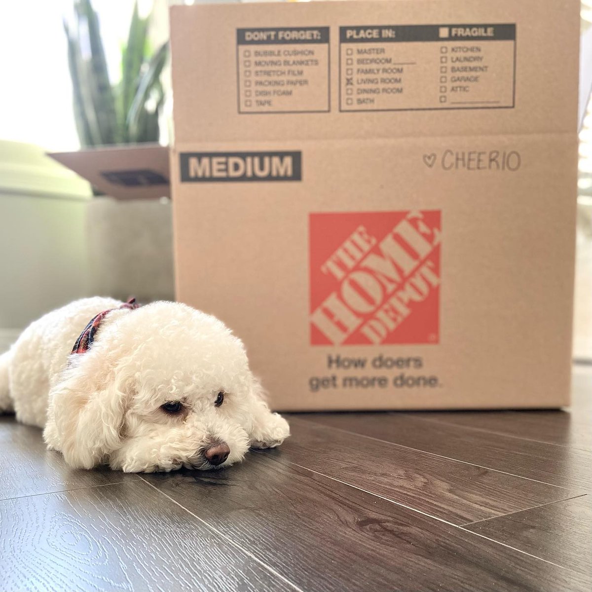 HomeDepotCanada's tweet image. To everyone who had a “ruff” week, here’s to a great weekend. #GettingMoreDone