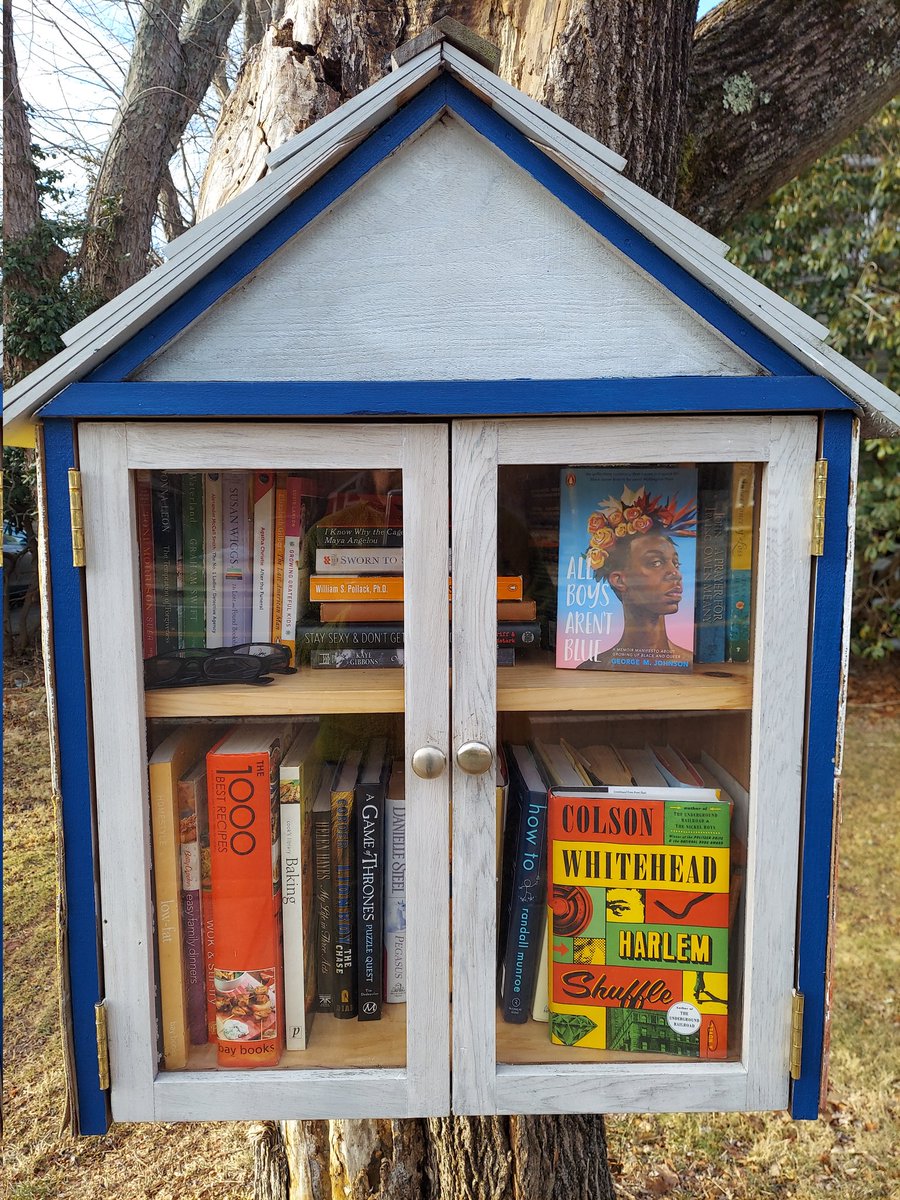 We have reached peak little free library @IamGMJohnson @colsonwhitehead @LtlFreeLibrary