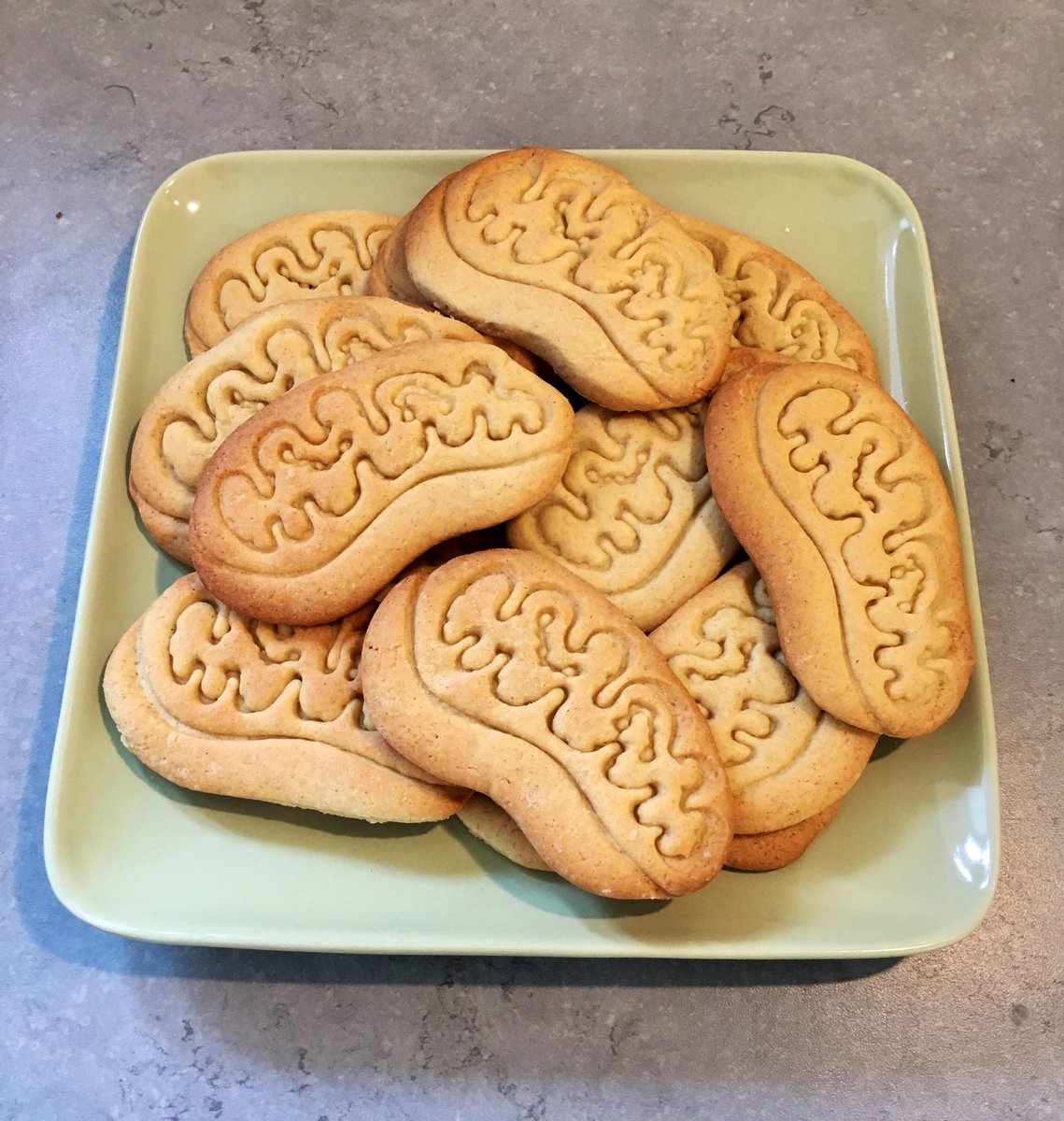 amykholt_'s tweet photo. Canโt wait to aerobically metabolise these ๐๐ช
#Mitochondria #PowerhouseOfTheCell #ScienceBaking https://t.co/75xeEyF5dz