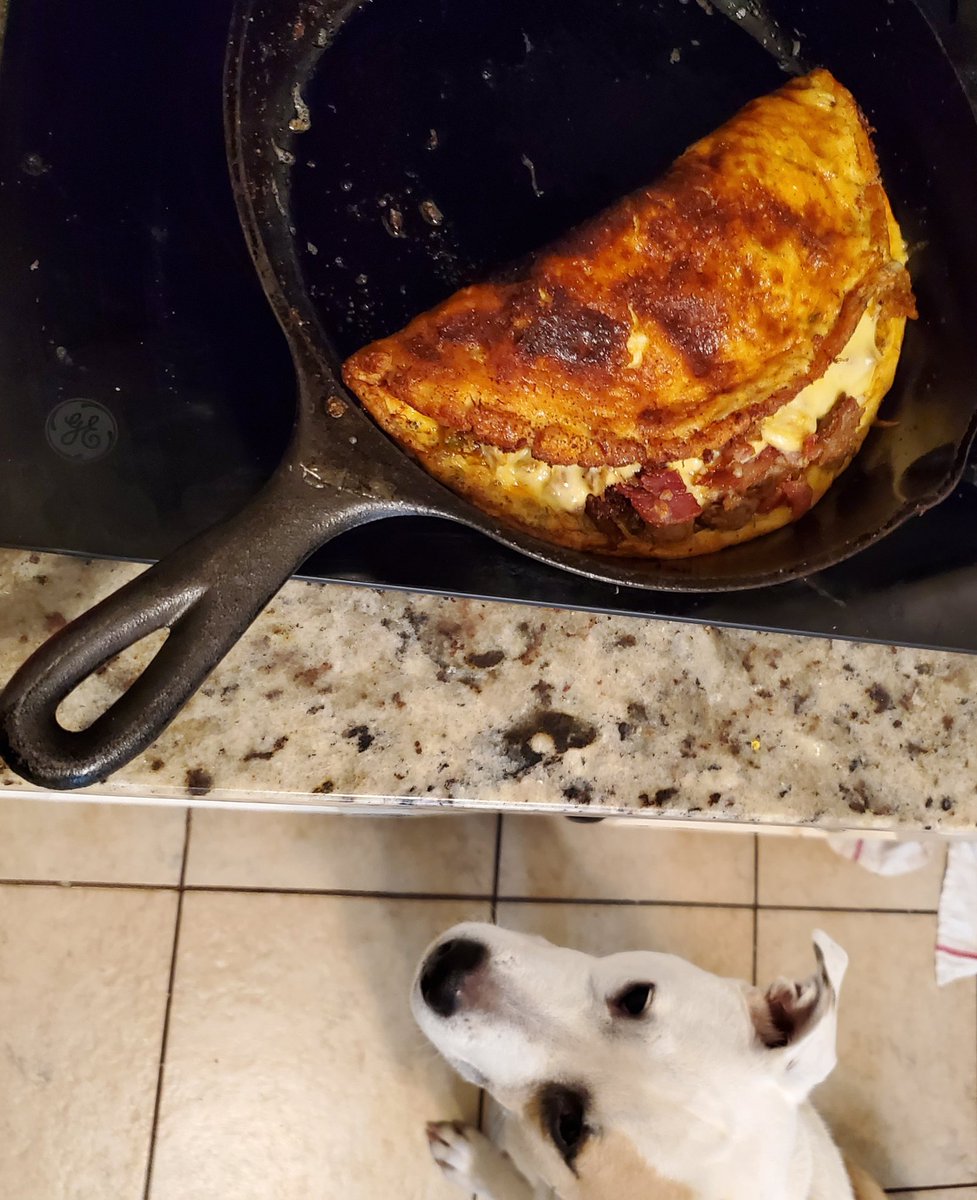 RubyDawgOffcial's tweet image. Wy duzzent hudad jus drop sum o dat #omlet? Ahm reddee tah haylp kleen it up!#Rubydawg #dogsoftwitter #DogsAreFamily #breakfast