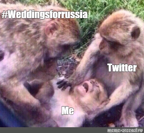 grustishka_mood's tweet photo. #weddingsforrussia
Шел второй день- ру фандом активно борется с @EA за справедливость https://t.co/HvuycgOYFw